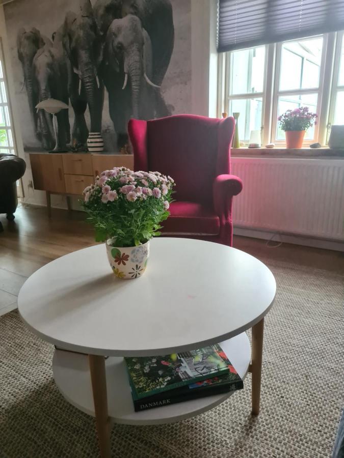 Marsvinslund Bed And Breakfast Viborg Exterior photo