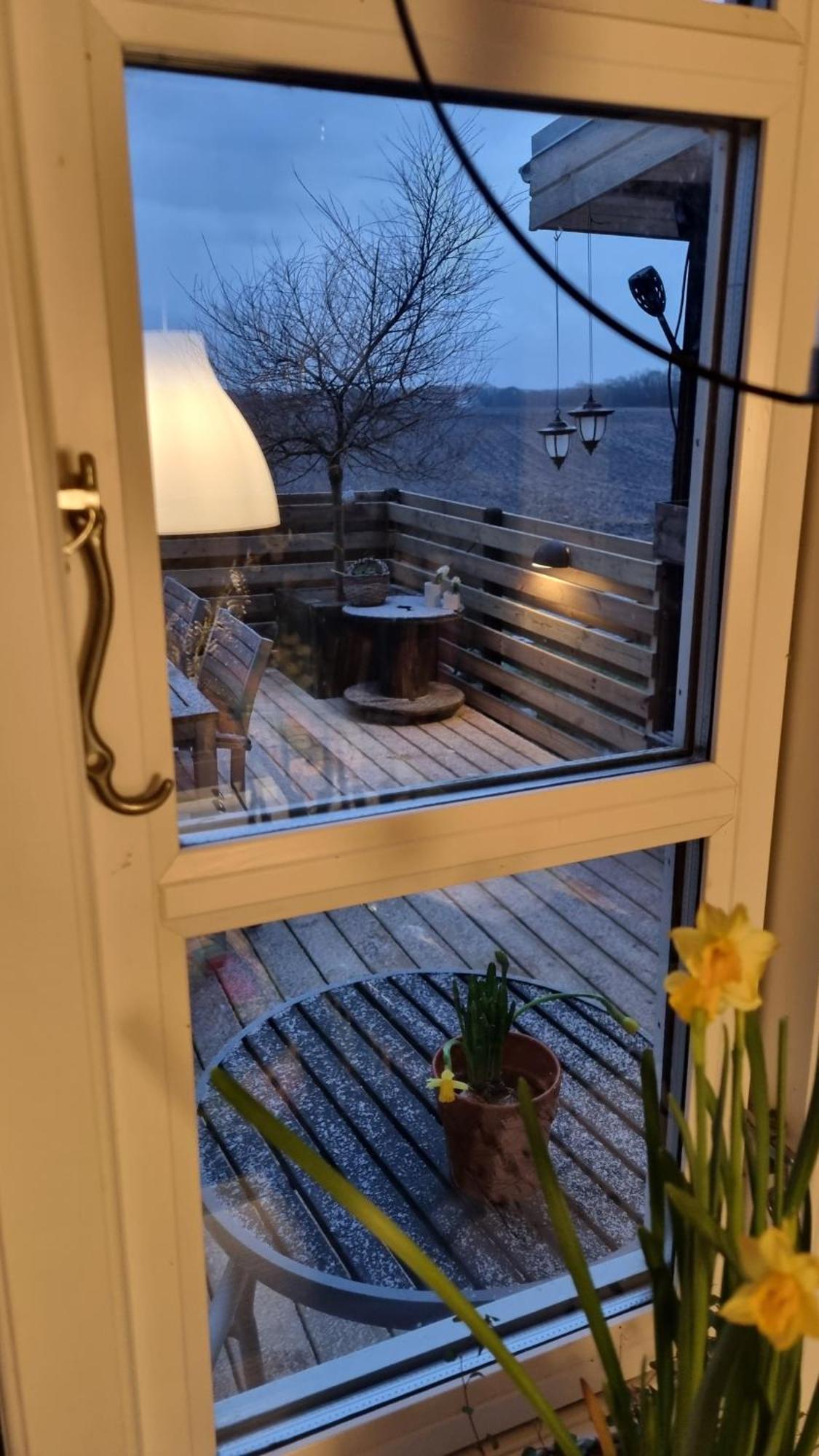 Marsvinslund Bed And Breakfast Viborg Exterior photo